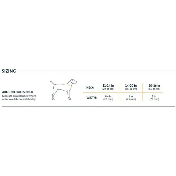 Ruffwear Chain Reaction Collar granite gray 5 Ruffwear Chain Reaction Collar granite gray - Image 3