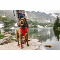Ruffwear Front Range Collar red sumac -Outdoor Accessories Sales ruffwear front range collar red sumac 6