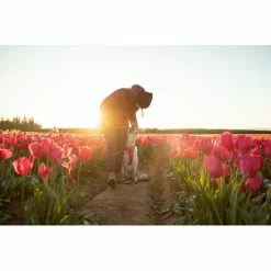 Outdoor Accessories Sales -Outdoor Accessories Sales ruffwear front range harness hibiscus pink 2