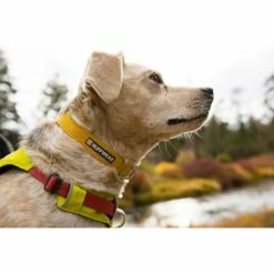 Ruffwear Hi & Light Collar lichen green -Outdoor Accessories Sales ruffwear hi light collar lichen green 4