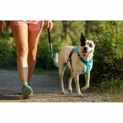 Ruffwear Hi & Light Harness blue atoll -Outdoor Accessories Sales ruffwear hi light harness blue atoll 5