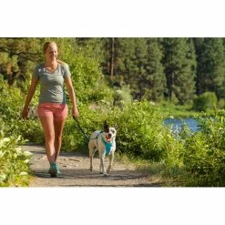 Ruffwear Hi & Light Harness blue atoll -Outdoor Accessories Sales ruffwear hi light harness blue atoll 6