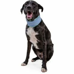 Ruffwear Swamp Cooler Neck Gaiter aurora teal/heliotrope purple 9 Ruffwear Swamp Cooler Neck Gaiter aurora teal/heliotrope purple -Outdoor Accessories Sales ruffwear swamp cooler neck gaiter aurora teal heliotrope purple 4