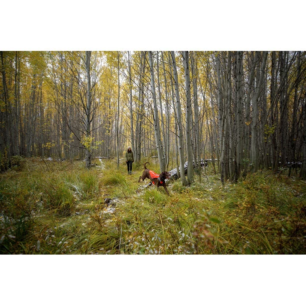 Ruffwear Track Jacket blaze orange 8 Ruffwear Track Jacket blaze orange - Image 6