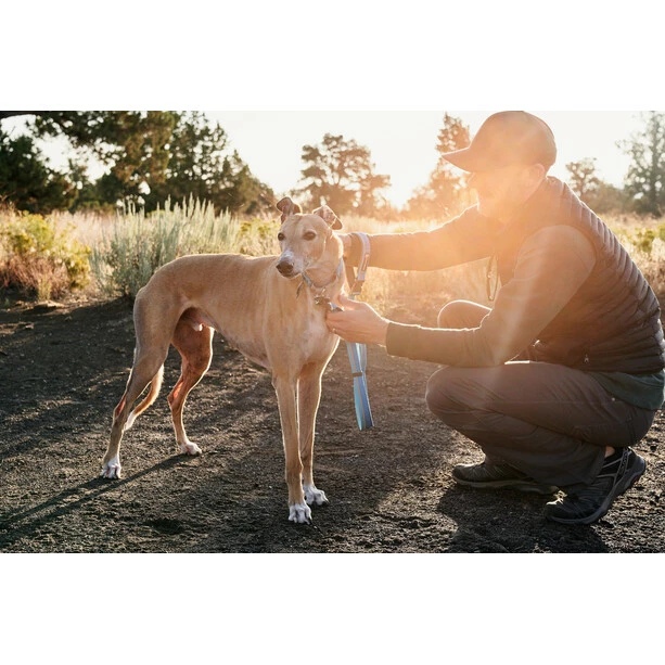 Ruffwear Web Reaction Collar blue dusk 8 Ruffwear Web Reaction Collar blue dusk - Image 6