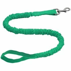 TowWhee Dog Leash Long with Mini Carabiner green
